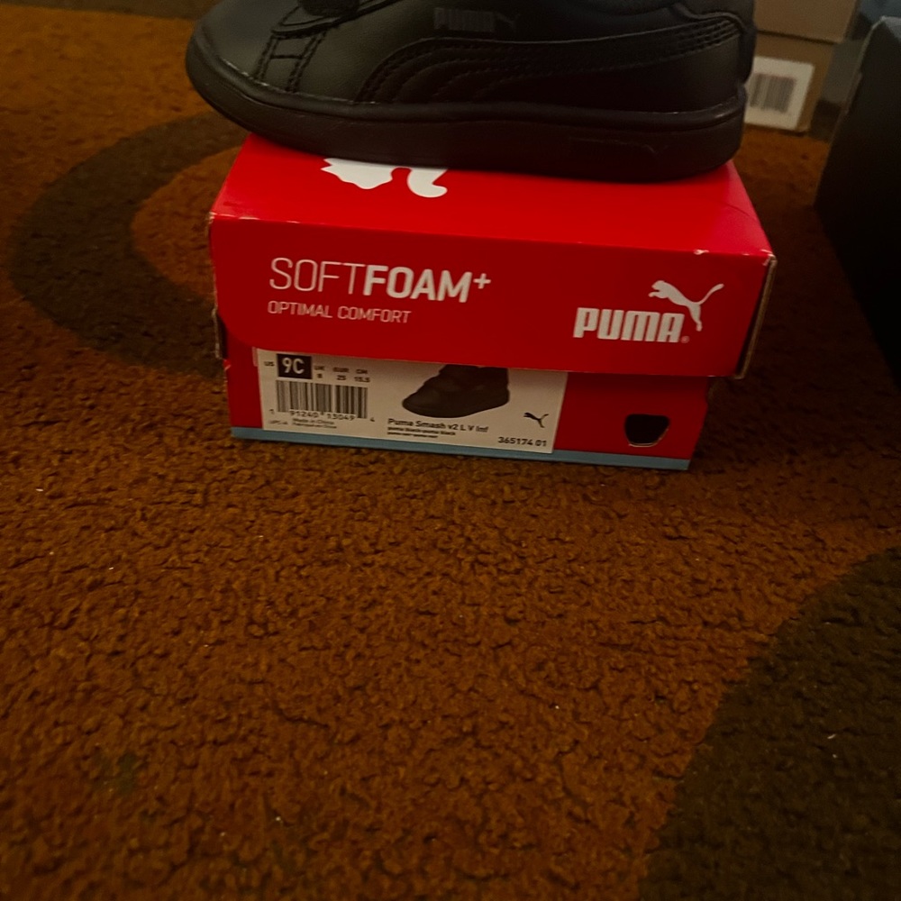 Kid puma - Picture 4 of 4
